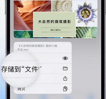 偏关apple维修中心分享iPhone文件应用中存储和找到下载文件