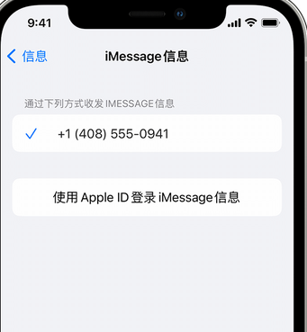 偏关apple维修iPhone上无法正常发送iMessage信息 