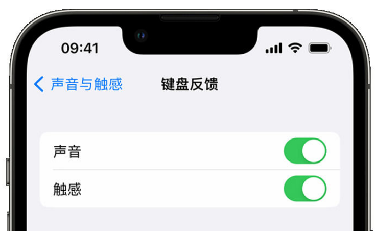 偏关苹果手机维修分享iPhone 14触感键盘使用方法 