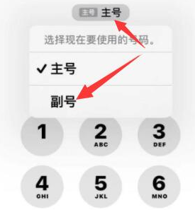 偏关苹果14维修店分享iPhone 14 Pro Max使用副卡打电话的方法 