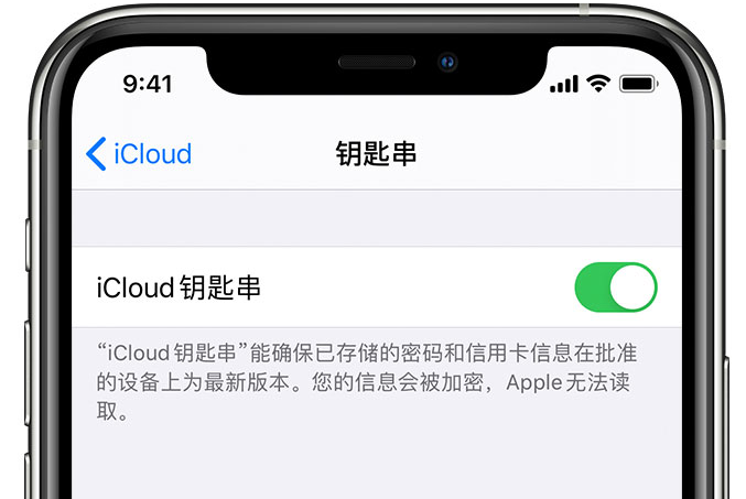 偏关苹果手机维修分享在 iPhone 上开启 iCloud 钥匙串之后会储存哪些信息 