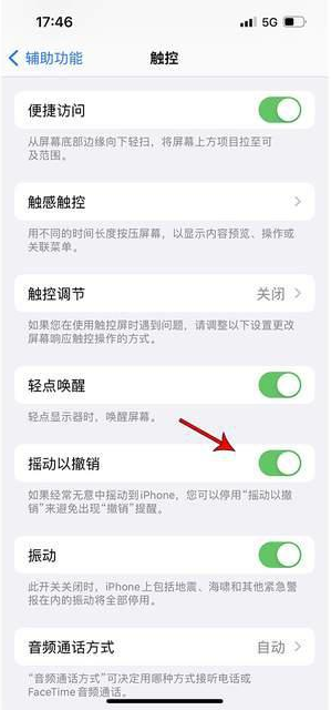 偏关苹果手机维修分享iPhone手机如何设置摇一摇删除文字 