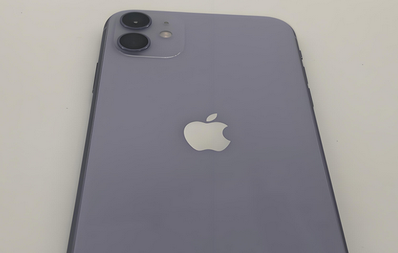 偏关苹果11系统维修分享iPhone11手机系统崩溃无法开机如何解决 